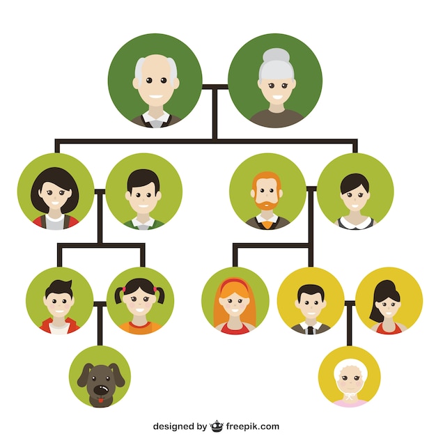 what does a family tree look like