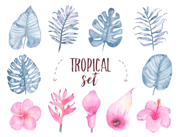 Akwarela ręcznie malowane tropikalny liść indygo kwiat frangipani hibiskusa calla lily zestaw na białym tle Darmowych Wektorów