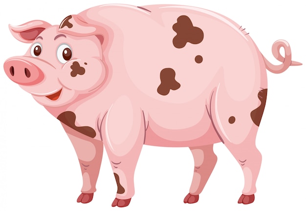 Brudna świnia Błoto | Premium Wektor