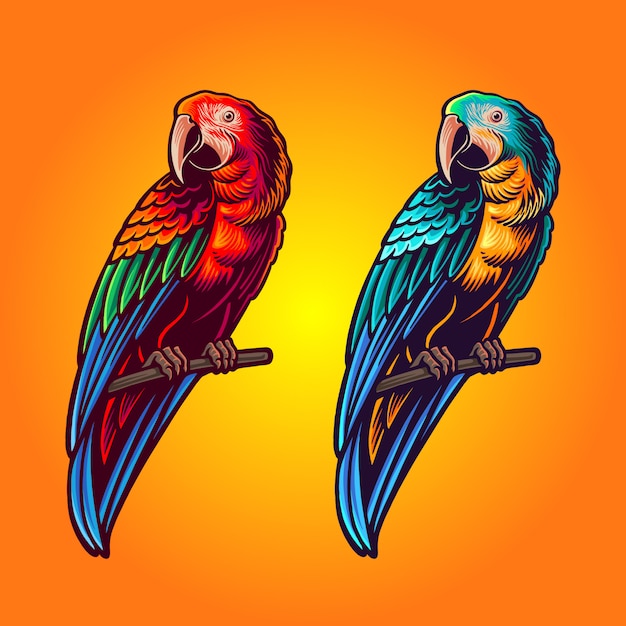 Dwa Kolory Ilustracji Papuga Na Zestawie Wektor