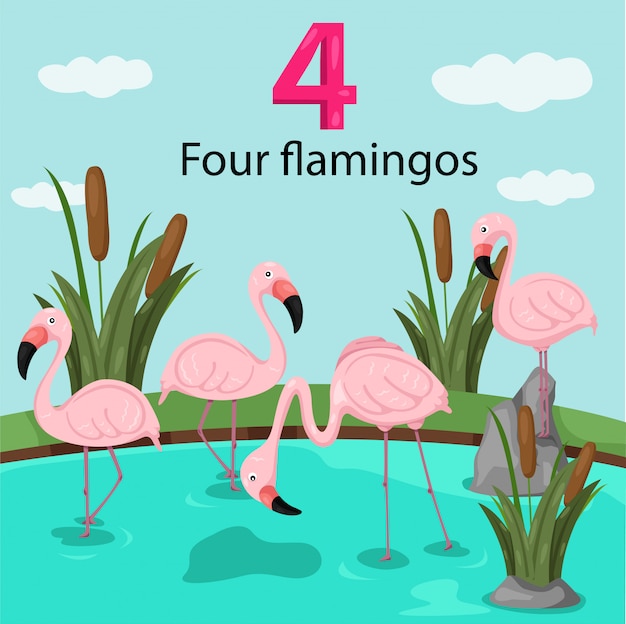 Ilustrator numer cztery z flamingami Premium Wektorów