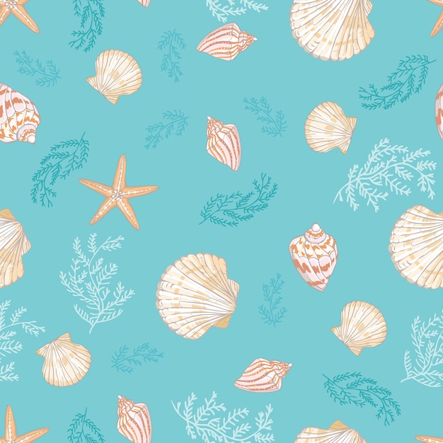 Seashell bezszwowy wzór. Premium Wektorów