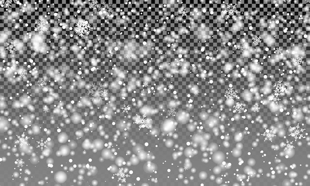 Śnieg Przezroczyste Tło Płatki śniegu Premium Wektor 8566