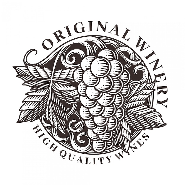 Wektor grawerowanie ilustracji winogron ornament Premium Wektorów