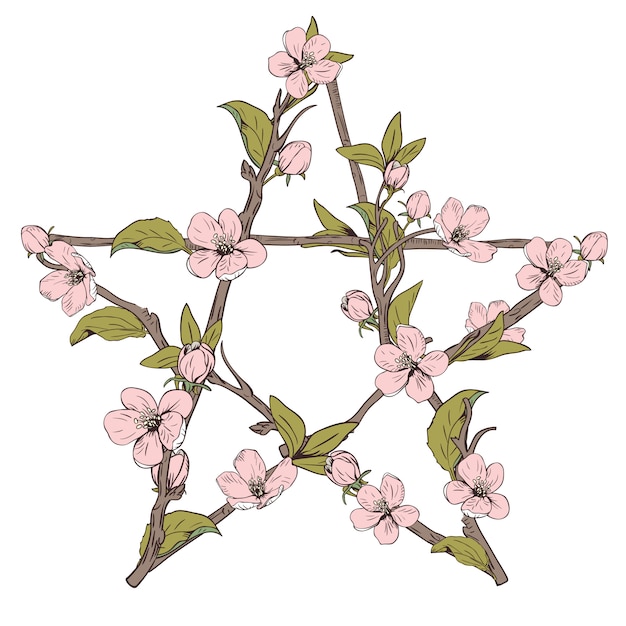 Znak pentagram wykonany z gałęzi z kwitnącego drzewa. ręcznie rysowane botaniczny różowy kwiat na białym tle. ilustracji wektorowych. Premium Wektorów