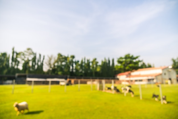 Abstrakcjonistyczny plama park z zielonym polem Darmowe Zdjęcia
