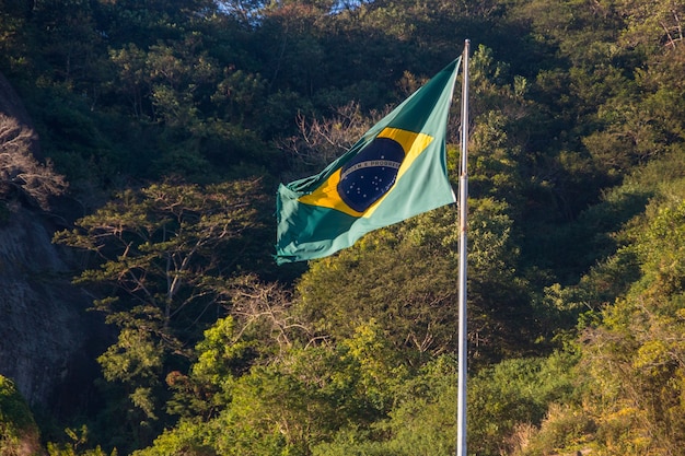 Flaga Brazylii Na Zewnatrz Drzew W Tle W Rio De Janeiro Brazylia Zdjecie Premium