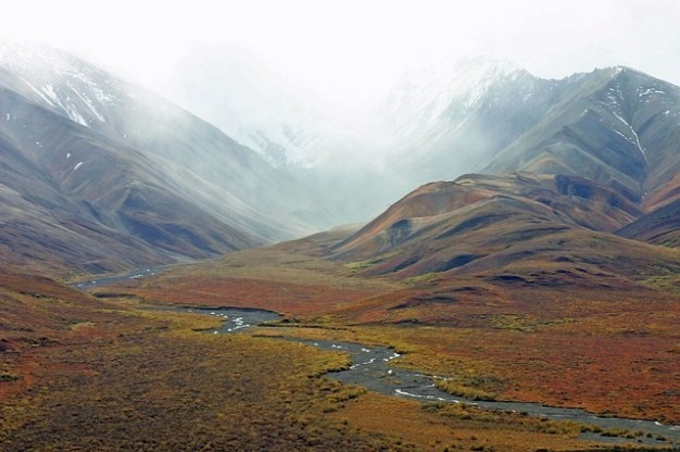 Obraz znaleziony dla: rzeka tundra