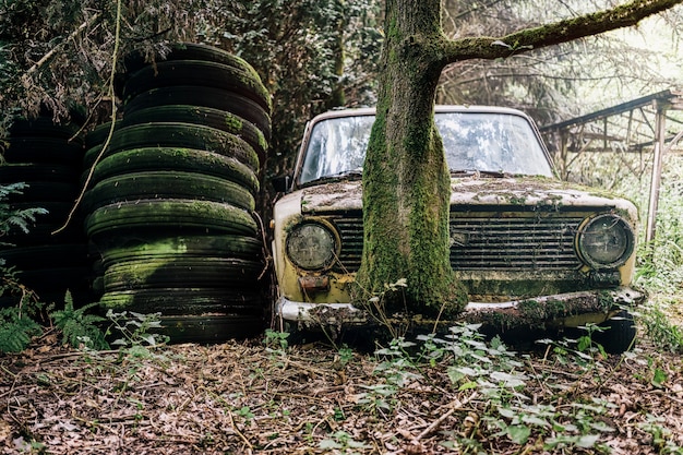Obraz Porzucony I Porzucony Samochód W Lesie Darmowe Zdjęcie