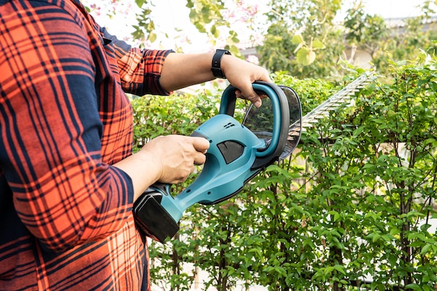 Ogrodnik trzymający elektryczne nożyce do żywopłotu, aby przyciąć wierzchołek drzewa w ogrodzie Premium Zdjęcia