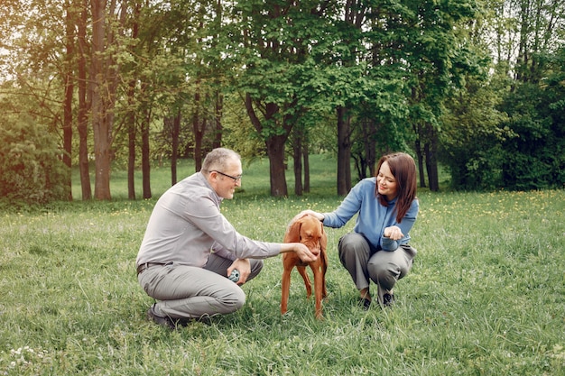 Piękna para w letnim lesie z psami Darmowe Zdjęcia
