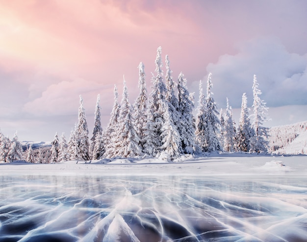 Tajemniczy Zimowy Krajobraz Majestatyczne Gory Zima Magiczne Drzewo Pokryte Sniegiem Zimy Zdjecie Premium
