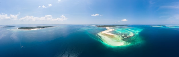 Tropikalna plaża wyspa rafa morze karaibskie. biały piasek bar snake island, indonezja archipelag moluccas, wyspy kei, morze banda, cel podróży Premium Zdjęcia
