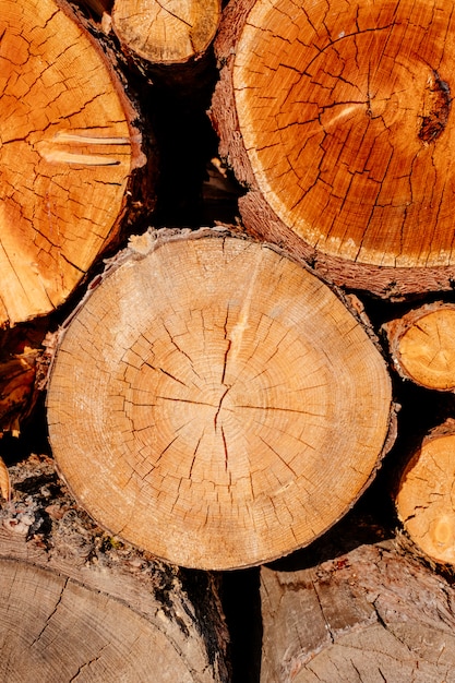 Zbliżenie Plasterka Drewniany Krzyż Notuje Drzewną Sekcję żółtego Brąz Premium Zdjęcia