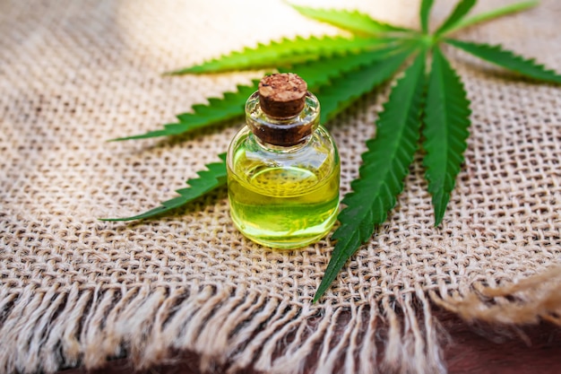 Aceite esencial de extracto de cannabis en una botella pequeña enfoque selectivo naturaleza