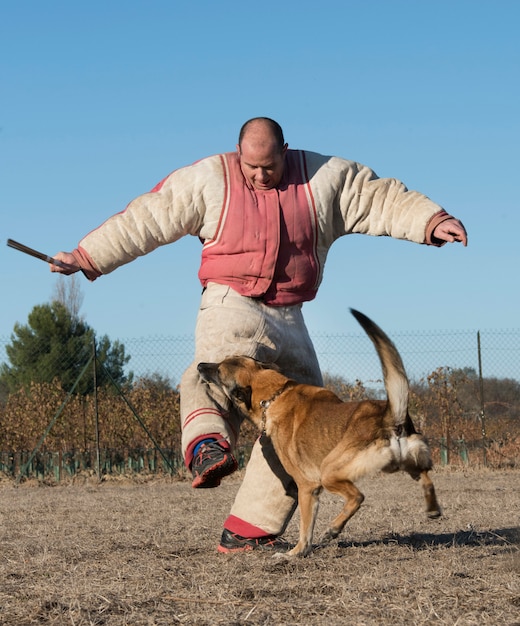 adiestramiento-perro-policia_87557-3751.jpg