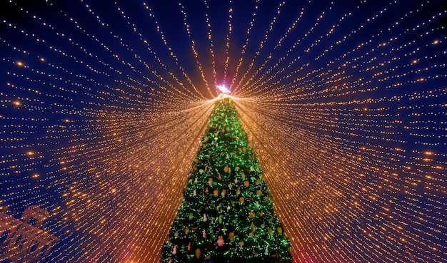 Árbol de navidad. el principal árbol de navidad de ucrania en la plaza sofía. vista desde abajo 