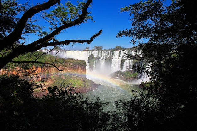 El Arcoíris En Las Cataratas Del Iguazú En Argentina Y Brasil | Foto ...