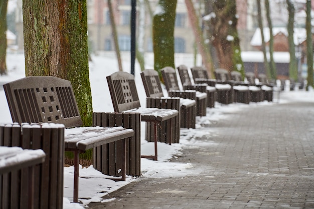 Bancos Cubiertos De Nieve Entre Los Rboles Helados De Invierno En El