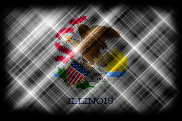 Bandera Del Estado De Illinois Bandera De Illinois Bandera Moderna De