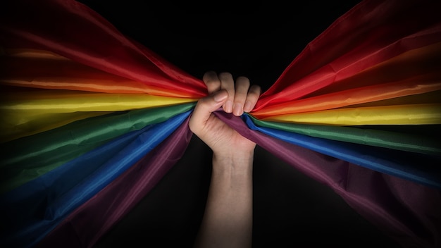Bandera Del Orgullo Lgbtq Lesbianas Gay Bi Sexsual Transgénero Queer Orgullo Homosexual