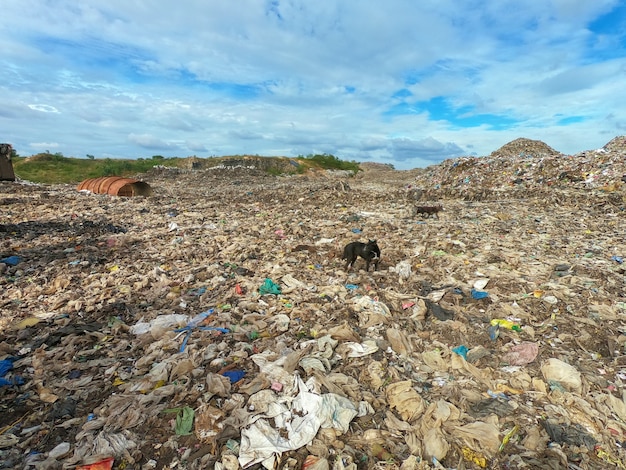 Basura en vertedero municipal de residuos domésticos. | Foto Premium