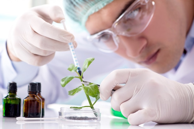 Biotecnología con científico en laboratorio. Foto Premium
