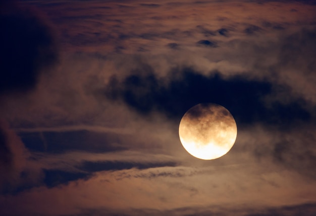 Bonita noche de luna llena | Foto Premium