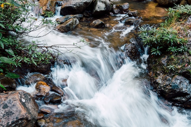 Caída de agua al río Foto gratis