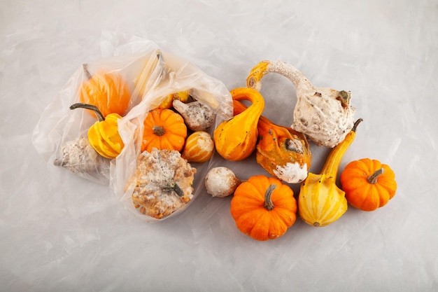 Calabazas podridas estropeadas en bolsa de plástico verduras mohosas