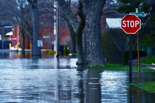 Calle inundada