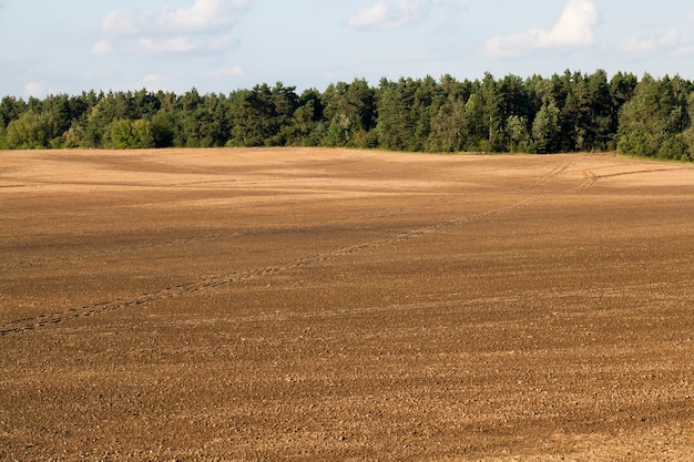 Campo agrícola arado cerca del bosque con follaje verde y árboles