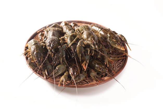 Los Cangrejos De R O Viven En Un Plato Aislado Sobre Un Fondo Blanco