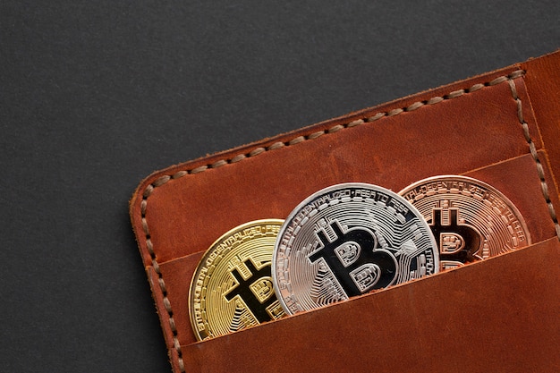 cartera de bitcoins