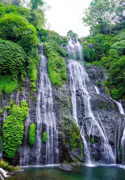 Cascada Gemela De Banyumala En Ladera De Monta A En Bali Cascada Cascada De La Selva En La