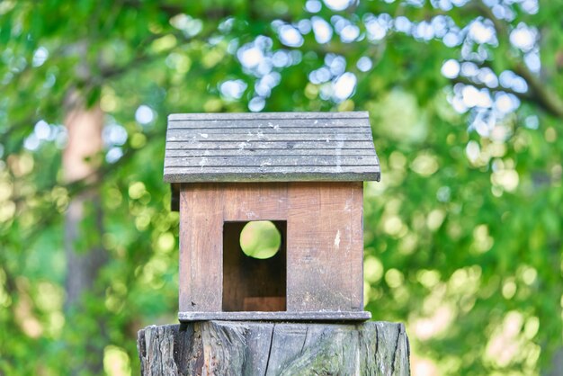 Casita Para Aves De Madera En Forma De Casa Con Fondo De Rboles