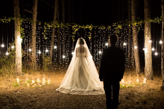 Ceremonia De Boda Noche Reunión De Los Recién Casados La Novia Y El Novio En El Bosque De 