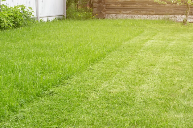 Césped de corte de césped recién cortado. fondo de jardinería. concepto