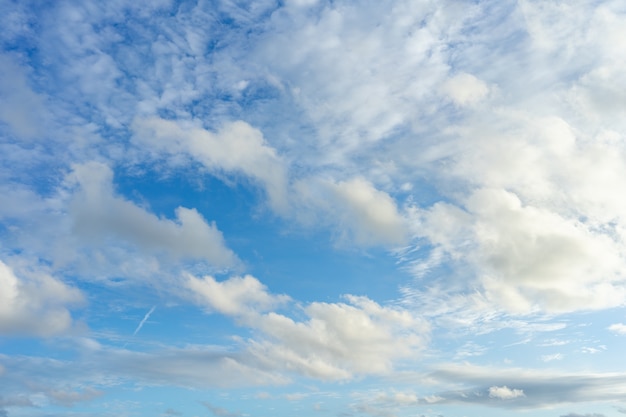 El cielo es azul brillante. hay nubes flotando a través. siéntete ...