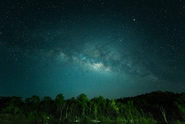 Cielo en la noche | Foto Premium