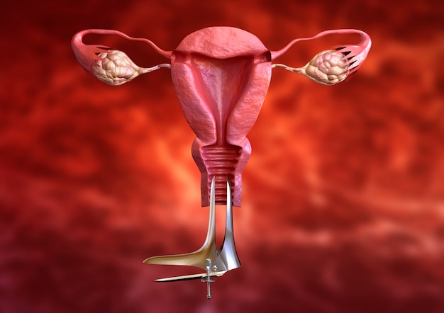 La citología vaginal es un examen ginecológico de la citología cervical Foto Premium 