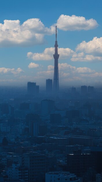 La ciudad de tokio y la torre del árbol del cielo de tokio vista aérea