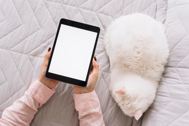 Composición adorable de gato con dispositivo tecnológico Foto gratis