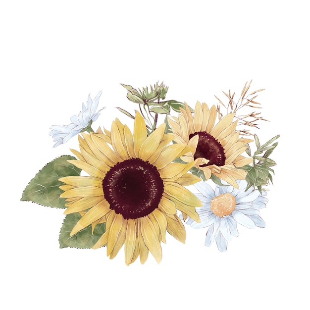 Conjunto de girasoles lindos flores ramas y hojas ilustración acuarela