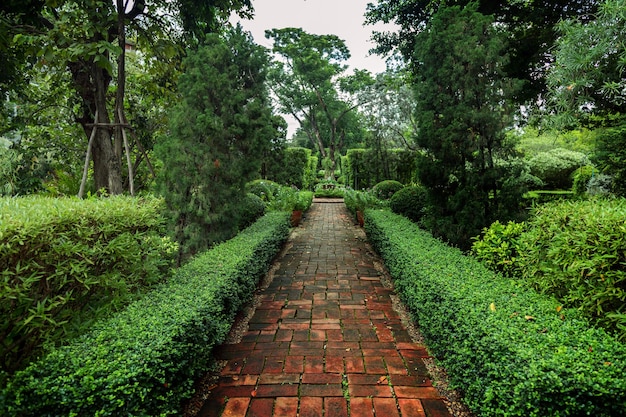 Decoracion Clasica De Jardin Ingles Al Aire Libre En El Parque En Mornig Sunrise Foto Premium