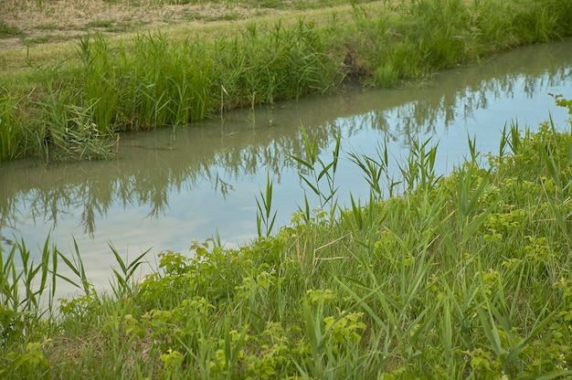 Disparo de una pequeña acequia, arroyo, en una zona rural típica de la llanura de padana utilizada para riego de campos. Foto Premium 