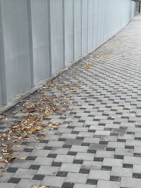 Disparo Vertical De Hojas De Oto O En La Acera Cerca De La Pared Gris