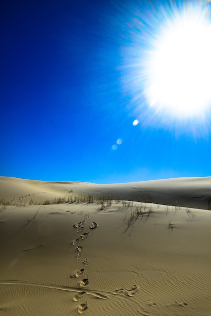 Las Dunas De La Playa Joaquina En Florian Polis Tienen Una De Las