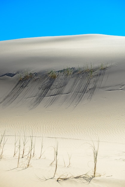 Las dunas de la playa joaquina en florianópolis tienen una de las