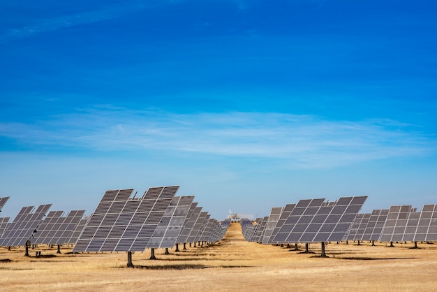 Energía Limpia Para Un Mundo Mejor. | Foto Premium